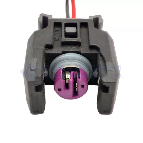 0090-049 2Pin sealed diesel common rail engine H5H6 injector nozzle connector plug For Buick The Great Wall 13816706 with wire