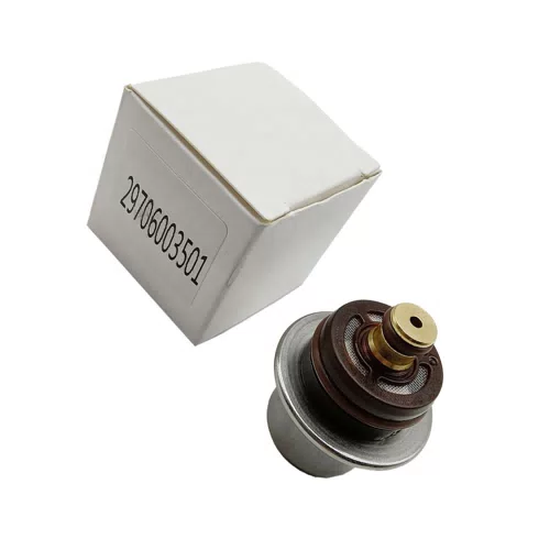 Fuel Pressure Regulator For Peugeot Regulador De Presion De Combustible OEM 29706003501 - image 2