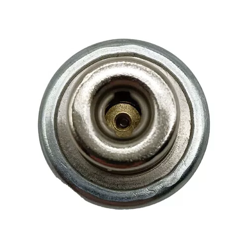 Fuel Injection Pressure Regulator For Toyota Regulador De Presion De Combustible 23280-20060 - image 6