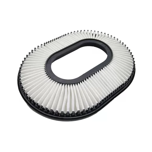 Car Air Filter For Mitsubishi Filters Air OEM MD620720 - image 2