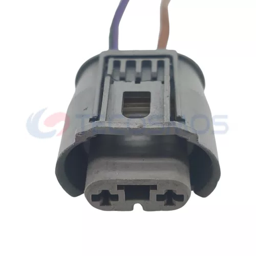 Auto Parts Waterproof Automotive Connector 2Pin Female for Car Fog Light Plug CT2-0008M-4
