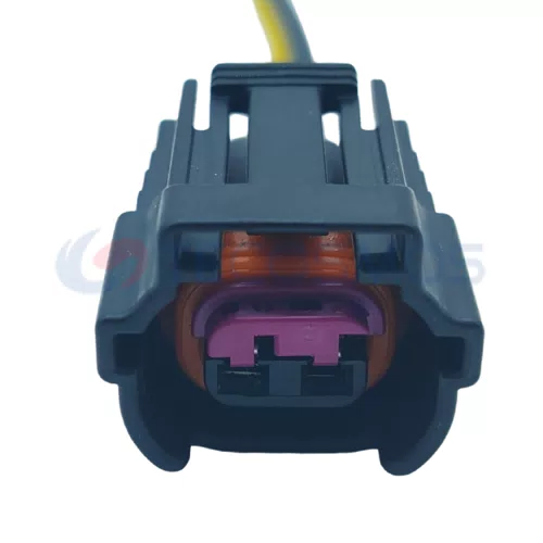 Automotive Wiring Harness Connector Plug Waterproof Shell for CAR 2 Pin Female CT2-0047M-5