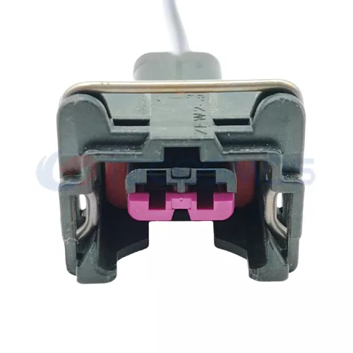 Auto Parts Waterproof Automotive Connector 2 Pin Female for Car Connector Plug CT2-0063M-11