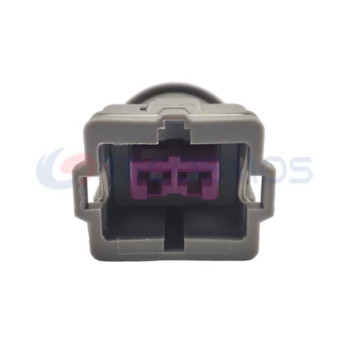Automotive Plug Harness Connector Waterproof Shell for CAR 2-pin Female CT2-0063M-14