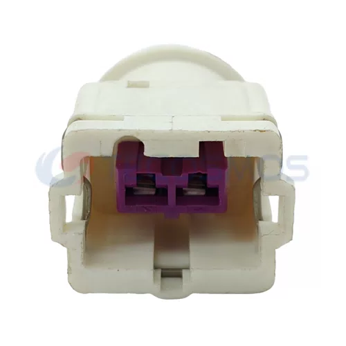 Auto Parts Waterproof Automotive Connector 2 Pin Female for Car Connector Plug CT2-0063M-20