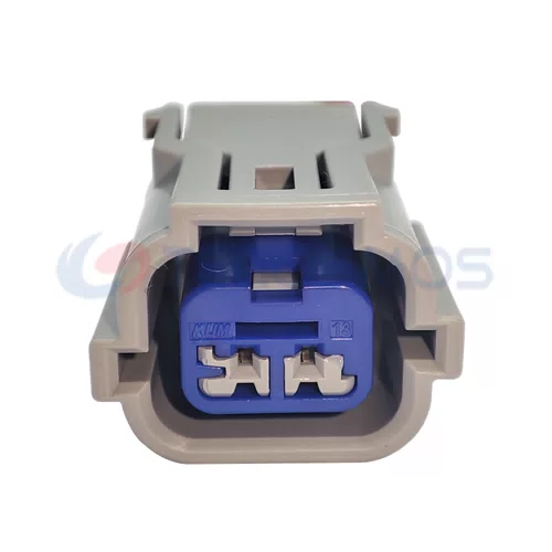 Waterproof Wire Connector Cable Harness Automotive Enclosure Connector for Hyundai 2pin Female CT2-0331M-1