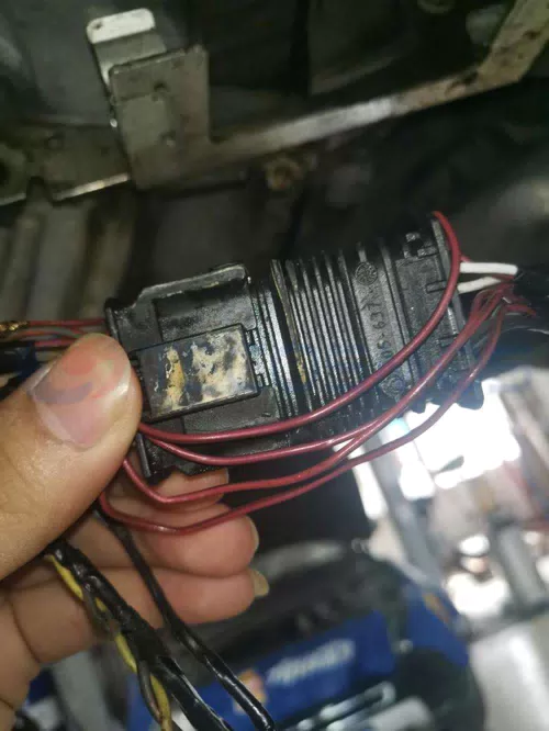 Car Connector For BMW rear oxygen sensor plug of has 4 pins CT4-0272M - image 3